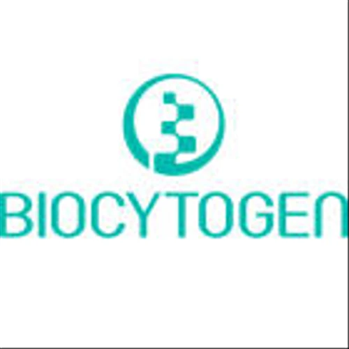 Biocytogen Announces IDEAYA’s Nomination of Development Candidate IDE034, a Potential First-in-Class B7H3/PTK7 Topo-I-Payload Bispecific ADC and Option Exercise