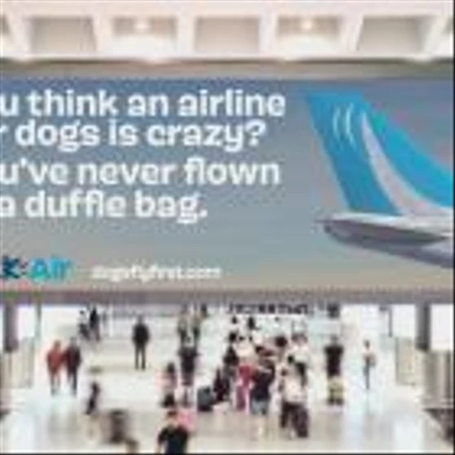 BARK Introduces New Era of Travel Made for Dogs with the Launch of BARK Air