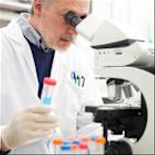 Here's What Stimulated Global Medical's Third-Quarter Blowout