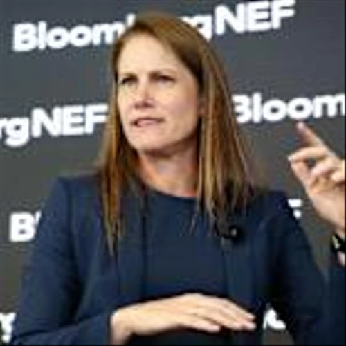 National Grid chief raised alarm over speed of net zero