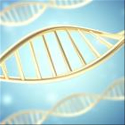 CRSP vs. BEAM: Which Gene Editing Stock Holds More Potential Right Now?