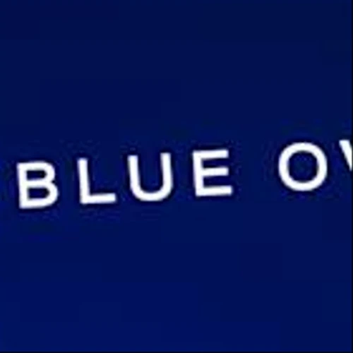 Blue Owl sparking fears in private credit space