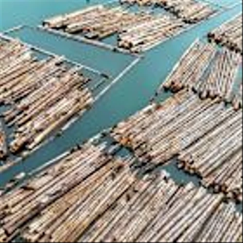 Lumber Tariffs, Bank Earnings, Data Delays: What to Watch for Next Week