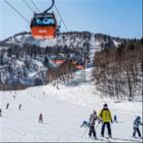 This airline to be first in North America to fly direct to this Japanese city