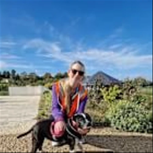 Gen Employees Volunteer Across Europe To Support Sustainability and Animal Welfare