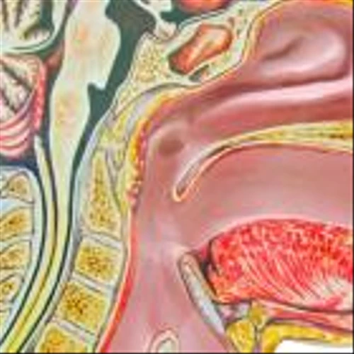 BioAtla receives FDA fast track designation for ozuriftamab vedotin