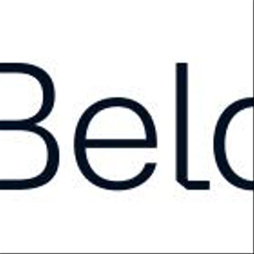 Belden to Announce Fourth Quarter and Full Year 2024 Results