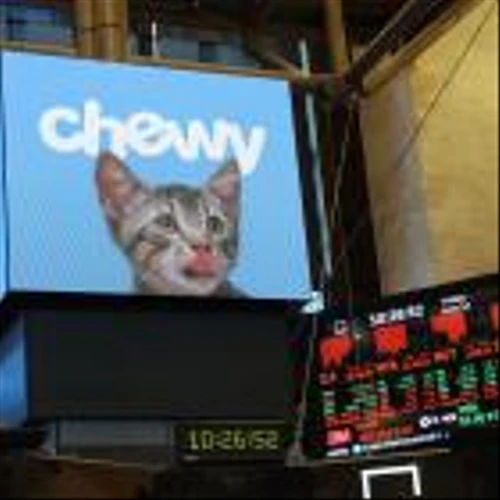 Chewy stock spikes, then retreats, after 'Roaring Kitty' posts cryptic picture of dog on X