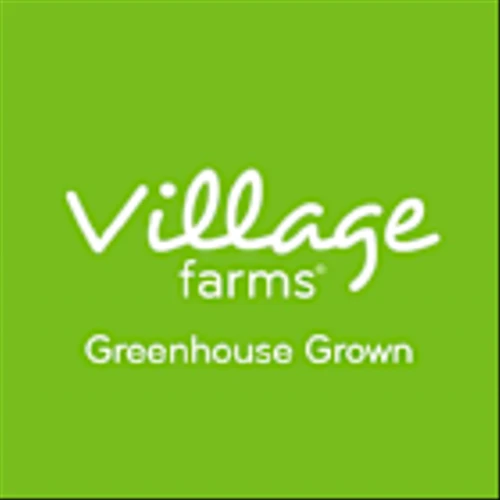 Village Farms International Inc (VFF) Q1 2025 Earnings Call Highlights: Strategic Moves and ...