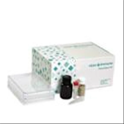 Virax Biolabs' CEO James Foster Outlines Clinical Progress and 2026 Priorities in Latest Annual Letter to Shareholders