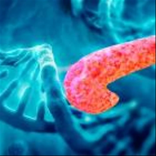 Lisata to use Haystack’s MRD tests for pancreatic cancer therapy trial