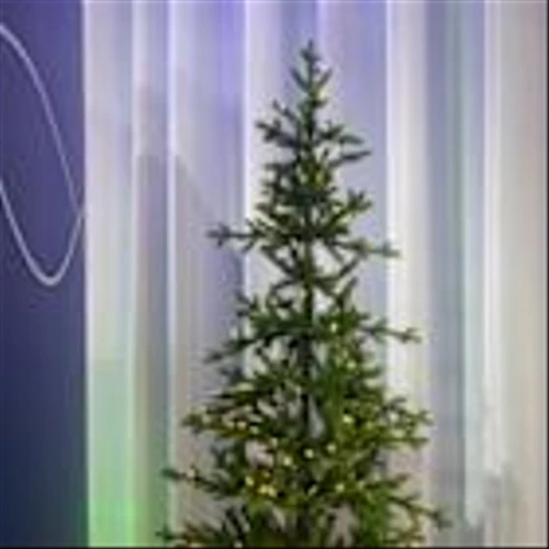 With Braskem’s I'm green™ bio-based Polyethylene, Balsam Hill Made the World’s First Plant-Based Plastic Christmas Trees