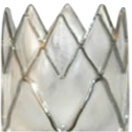 Pulmonx Corp (LUNG) Q3 2025 Earnings Call Highlights: Navigating Growth Challenges and ...