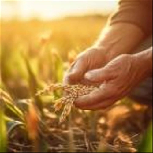 Is Nutrien Ltd. (NTR) the Best Farmland and Agriculture Stock to Buy Now?
