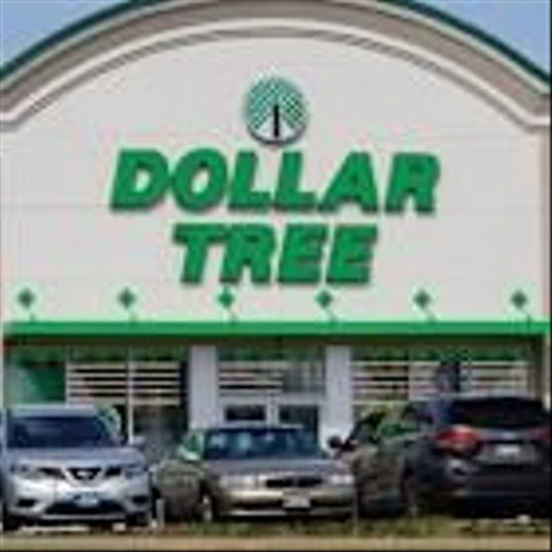 Dollar Tree Raises Outlook But Tariff Pressures Spark Investor Selloff