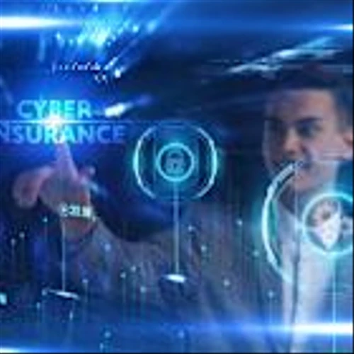 Cyber insurance has the strongest growth potential despite the protection gap