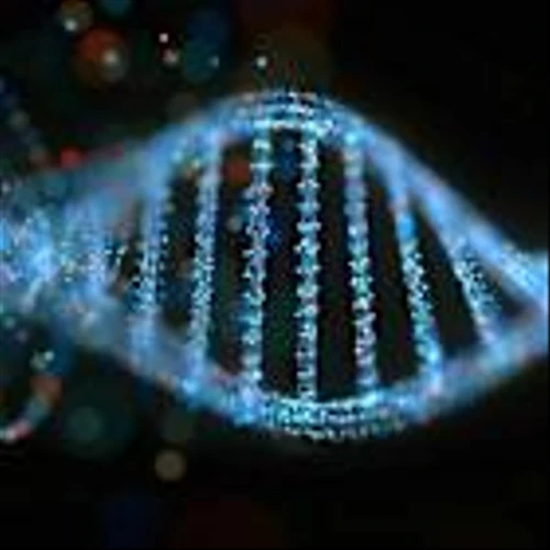 Climb Bio: Meet The Newest Star in Autoimmune Disease Treatment – Initiation Report