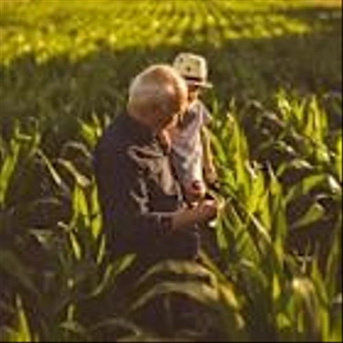 One-Third of the World's Fertilizer Passes Through the Strait of Hormuz. That Could Have Serious Repercussions for This Consumer Staples Company.