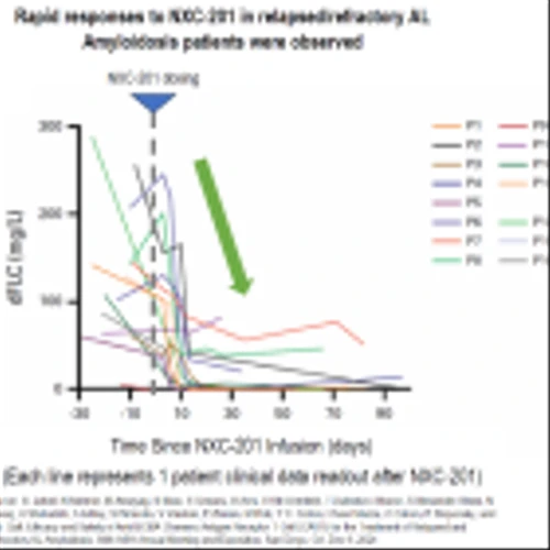 Immix Biopharma Announces 75% Complete Response Rate (n=16); 31.5 months Best Response Duration (ongoing) for CAR-T NXC-201 in Relapsed/Refractory AL Amyloidosis Patients at ASH 2024