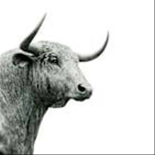 Nvidia, Microsoft Lead Wedbush New Tech List -- The 10 'Must-Own' Stocks