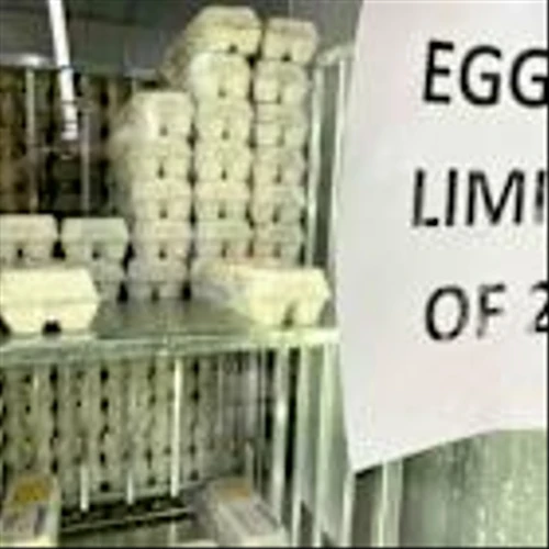 Cal-Maine Stock Sinks as DOJ Egg Price Probe Outweighs Surging Sales, Profits