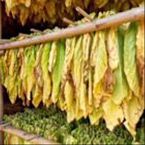 Institutional shareholders may be less affected by Universal Corporation's (NYSE:UVV) pullback last week after a year of 5.1% returns