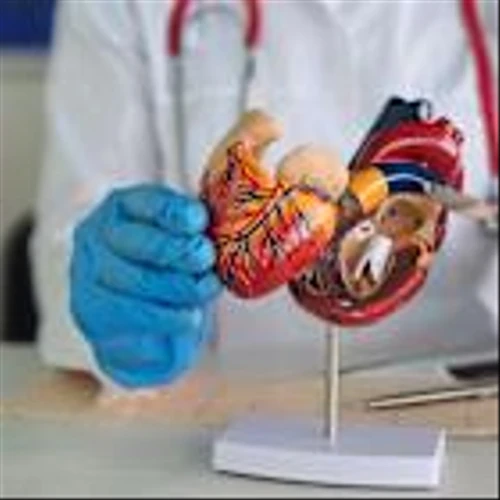 Cooperman Barnabas unveils new cardiac cath lab