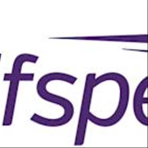 Wolfspeed Appoints Industry Veteran Dr. David Emerson as Chief Operating Officer