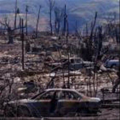 Hawaiian Electric raises going concern doubts on uncertainties over wildfire settlement financing