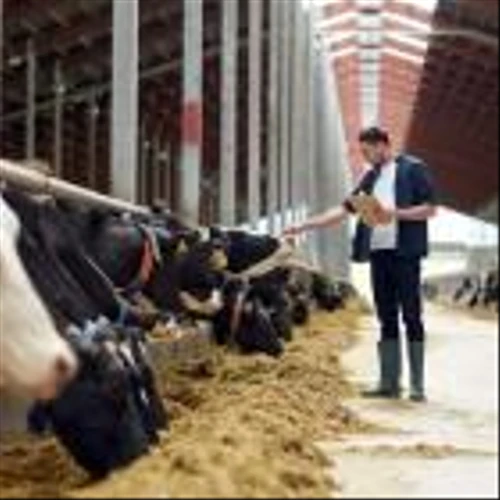 3 Tantalizing Stocks to Invest in the Future of Food