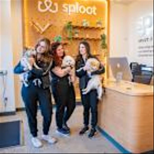 Synchrony Partners with Sploot Veterinary Care to Finance Comprehensive Veterinary Services with CareCredit