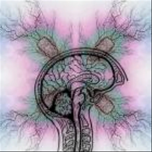 SciSparc secures final approval in Israel to start Tourette’s Syndrome trial