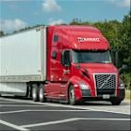 TL stocks take wild ride into, out of Q4 earnings season