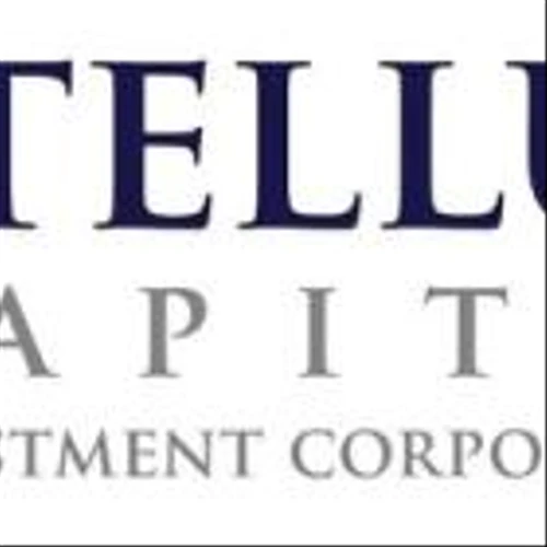 Stellus Capital Investment Corporation Reports Results for its First Fiscal Quarter Ended March 31, 2025