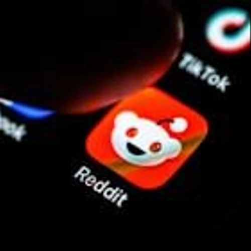 Investors question Reddit's AI gamble