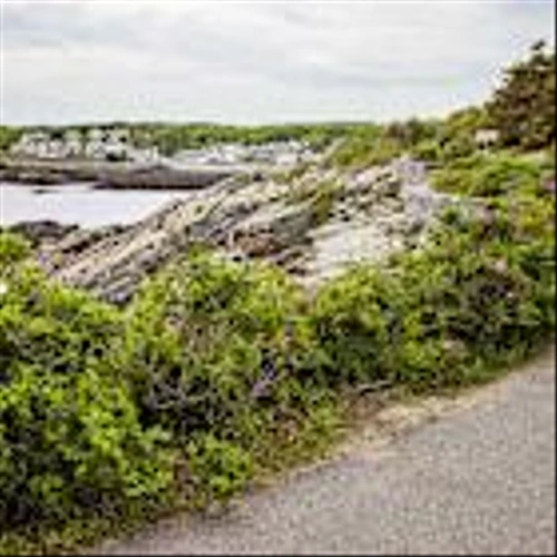 Big Layoffs Are Scary, but the Job Market’s Foundation Is Still Strong