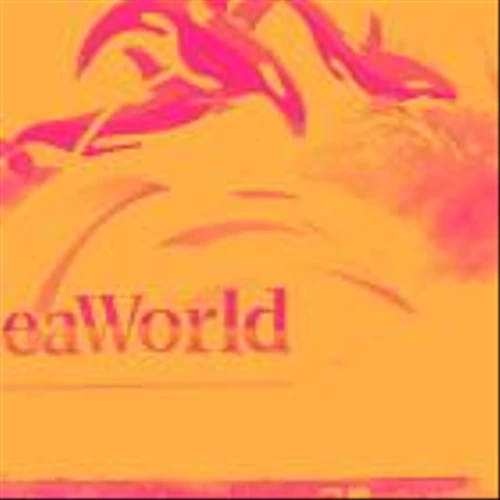 Spotting Winners: United Parks & Resorts (NYSE:PRKS) And Leisure Facilities Stocks In Q3