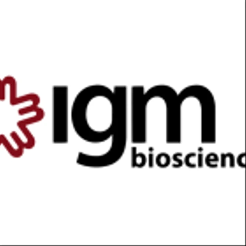 IGM Biosciences' New Found Focus: Pivots From Cancer To Autoimmune Diseases, Names New CEO