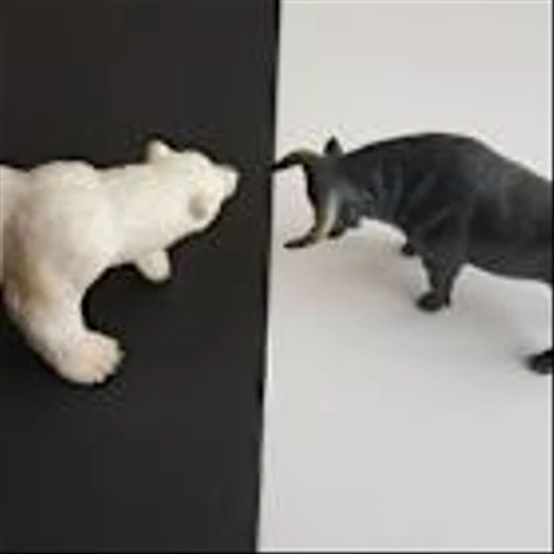 Is Wall Street Bullish or Bearish on Workday Stock?