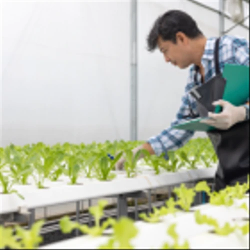 3 Stock Picks to Ride the Vertical Farming Wave