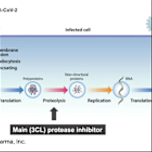 COCP: Topline Results for High-Dose Cohort from Phase 1 Trial of CDI-988 Expected in 2Q25…
