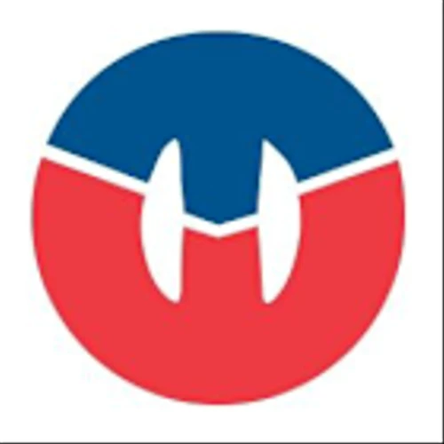Earnings To Watch: Titan International Inc (TWI) Reports Q4 2024 Result