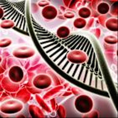 AbbVie Inc. (ABBV): A Bull Case Theory