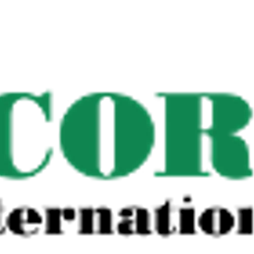Concorde International Group Reports Full-Year 2024 Financial Results and Provides Business Update