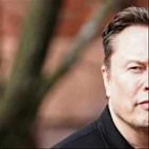 Tesla, Palantir, Beyond Meat: Trending stocks