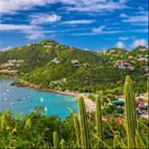 Holiday airline declares bankruptcy, all flights canceled