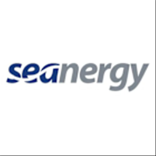 Seanergy Maritime Holdings Corp (SHIP) Q1 2025 Earnings Call Highlights: Navigating Challenges ...