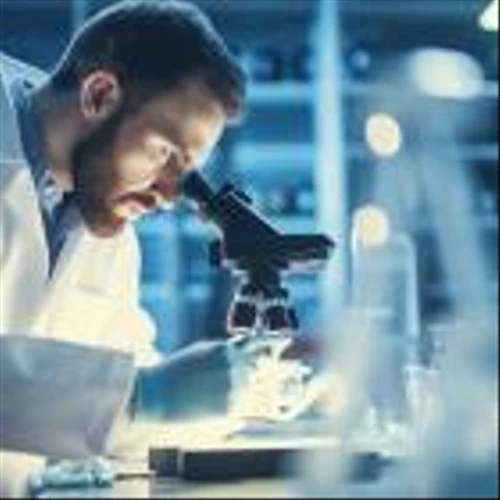 Is Genmab A/S (GMAB) the Most Undervalued Healthcare Stock to Buy According to Analysts?