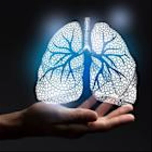 BeiGene halts ociperlimab amid poor Phase III trial predictions