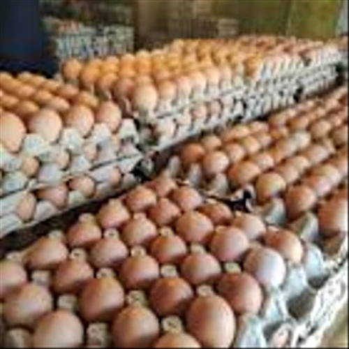 Why Cal-Maine Foods Shares Were Volatile Today